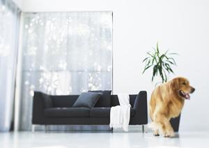 福島リフォームSSI株式会社の屋根塗装について